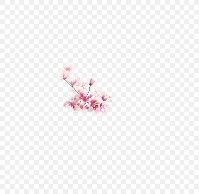 Petal Cherry Blossom Pink Book, PNG, 800x800px, Petal, Blossom, Book, Branch, Cherry Download Free