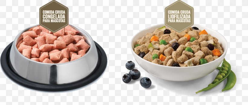 Vegetarian Cuisine Nature's Variety Raw Foodism Dog Food, PNG, 952x407px, Vegetarian Cuisine, Cereal, Chicken As Food, Cuisine, Dish Download Free