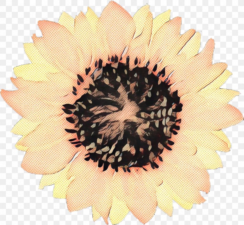 Beige Flower, PNG, 868x799px, Common Sunflower, Beige, Brown, Daisy Family, Flower Download Free