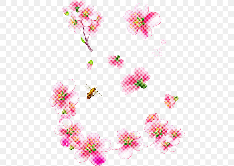 Cherry Blossom, PNG, 475x583px, Pink, Blossom, Cherry Blossom, Floral Design, Flower Download Free