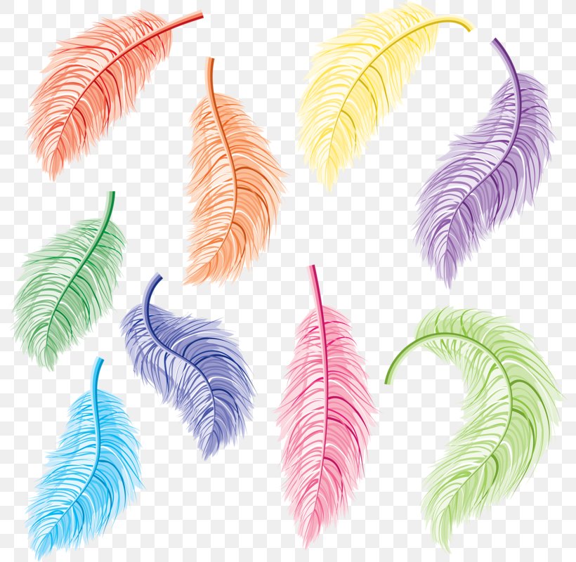 Feather Bird Clip Art, PNG, 798x800px, Feather, Bird, Digital Image, Sticker, Stock Photography Download Free