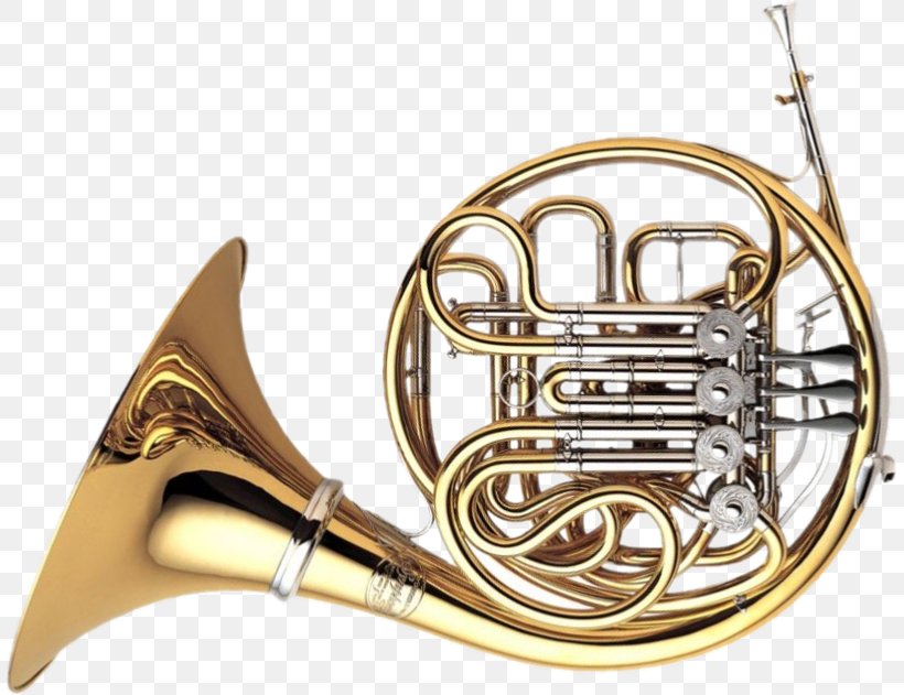 French Horns Mouthpiece Musical Instruments Brass Instruments Natural Horn, PNG, 807x631px, Watercolor, Cartoon, Flower, Frame, Heart Download Free