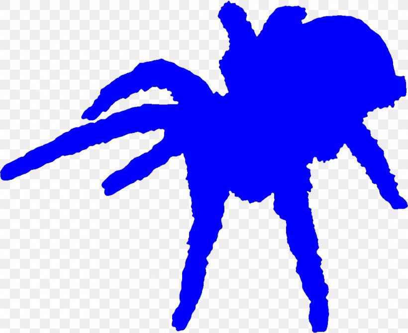 Sea Otter Spider Hermit Crab Invertebrate Desert Tortoise, PNG, 1064x869px, Sea Otter, Animal, Area, Artwork, Blue Download Free