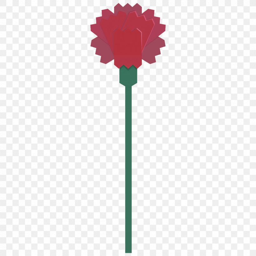 Carnation Flower, PNG, 1200x1200px, Carnation, Flower, Gerbera, Green, Plant Download Free