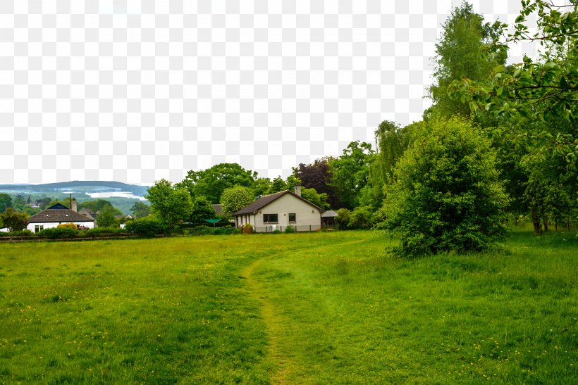 Lawn Grass Landscape Green, PNG, 2061x1375px, Lawn, Energy, Estate, Farm, Field Download Free