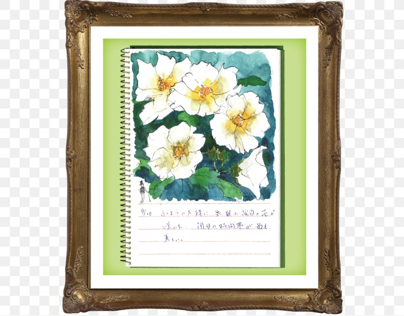 Picture Frames Flower Rectangle, PNG, 641x641px, Picture Frames, Flower, Flowering Plant, Picture Frame, Rectangle Download Free
