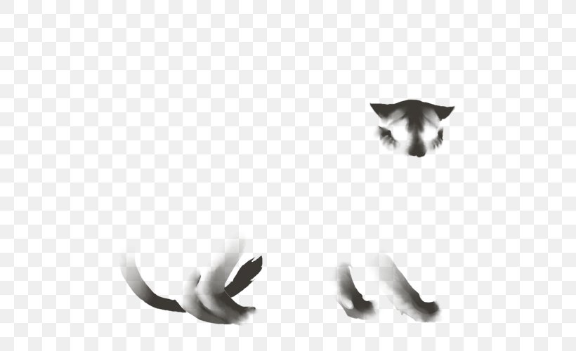 Cat Kitten Mammal Carnivora Whiskers, PNG, 640x500px, Cat, Animal, Black And White, Body Jewellery, Body Jewelry Download Free
