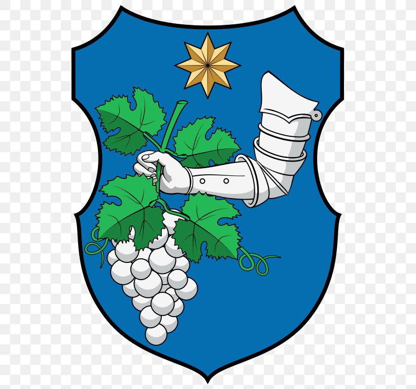Coat Of Arms Reneszánsz Pajzs Forró, Northern Hungary Escutcheon Figura, PNG, 563x768px, Coat Of Arms, Area, Artwork, Character, Escutcheon Download Free