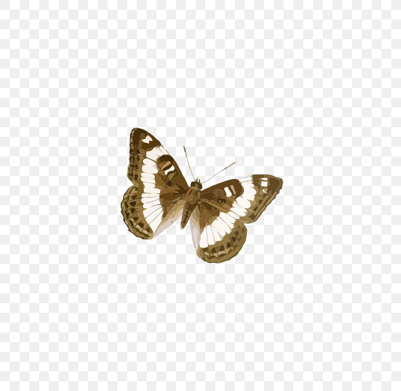 Brush-footed Butterflies Butterfly Moth Drawing Brown, PNG, 566x800px, Brushfooted Butterflies, Brown, Brush Footed Butterfly, Butterfly, Cartoon Download Free