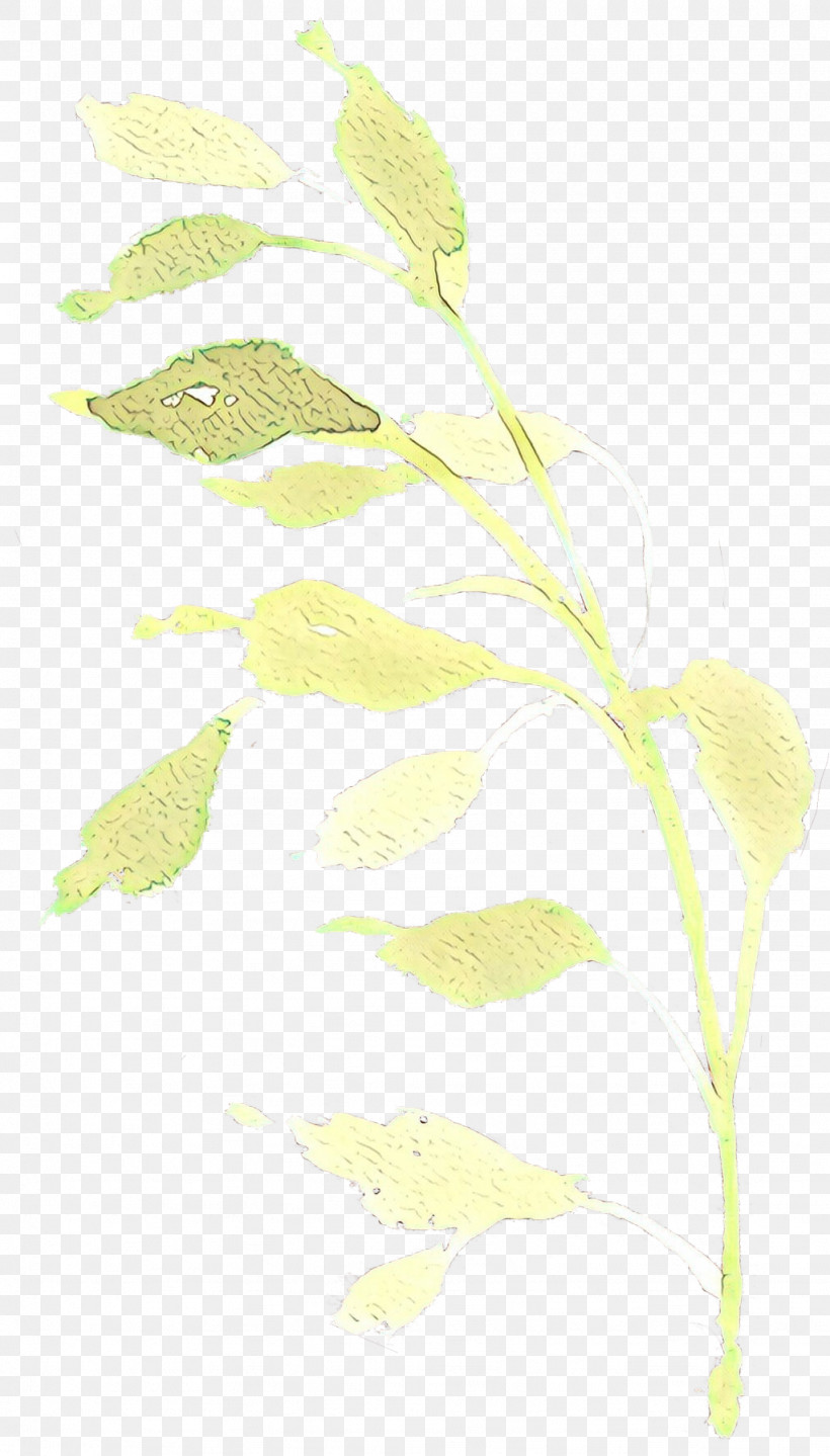 Leaf Plant Pedicel Flower Plant Stem, PNG, 1024x1798px, Leaf, Flower, Pedicel, Plant, Plant Stem Download Free