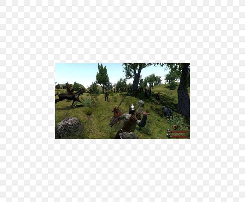 Mount & Blade: Warband Mount & Blade: With Fire & Sword Mount & Blade II: Bannerlord TaleWorlds Entertainment Role-playing Game, PNG, 450x675px, Mount Blade Warband, Action Roleplaying Game, Biome, Ecosystem, Expansion Pack Download Free
