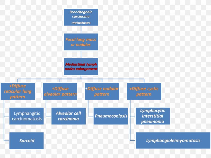 Organizational Chart Work Breakdown Structure Management Project, PNG, 1504x1127px, Organizational Chart, Area, Biosensor, Brand, Business Download Free