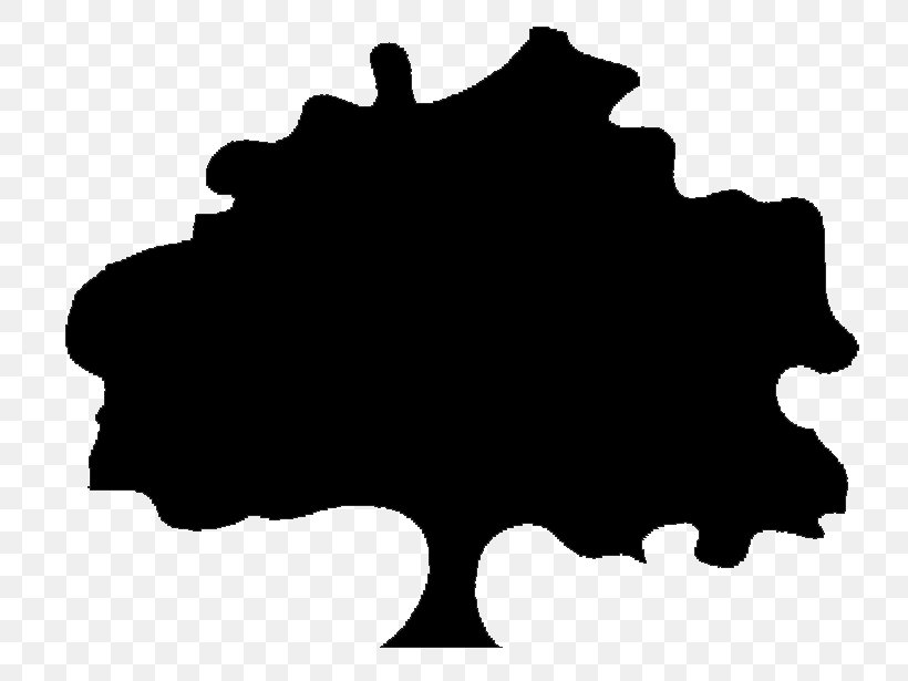 Tree Silhouette, PNG, 784x615px, Tree, Black, Black And White, Celtis Sinensis, Drawing Download Free