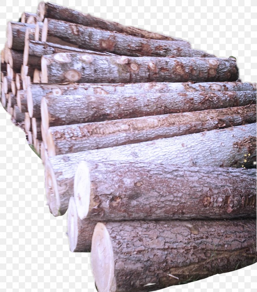 Wood Brown Tree Hardwood Beige, PNG, 1024x1163px, Wood, Beige, Brown, Furniture, Hardwood Download Free