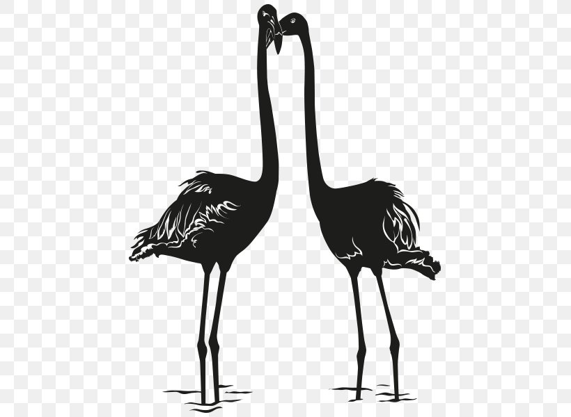 Bird Photography Drawing, PNG, 800x600px, Bird, Beak, Black And White, Crane, Crane Like Bird Download Free
