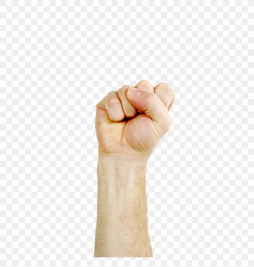 Thumb Gesture Fist, PNG, 1024x1077px, 3d Computer Graphics, Thumb, Arm, Finger, Fist Download Free