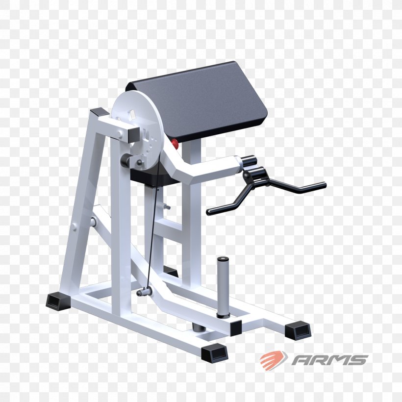 Exercise Machine Physical Fitness Barbell Yaguar-Sport Squat, PNG, 1200x1200px, Exercise Machine, Barbell, Bench, Clean And Press, Exercise Equipment Download Free