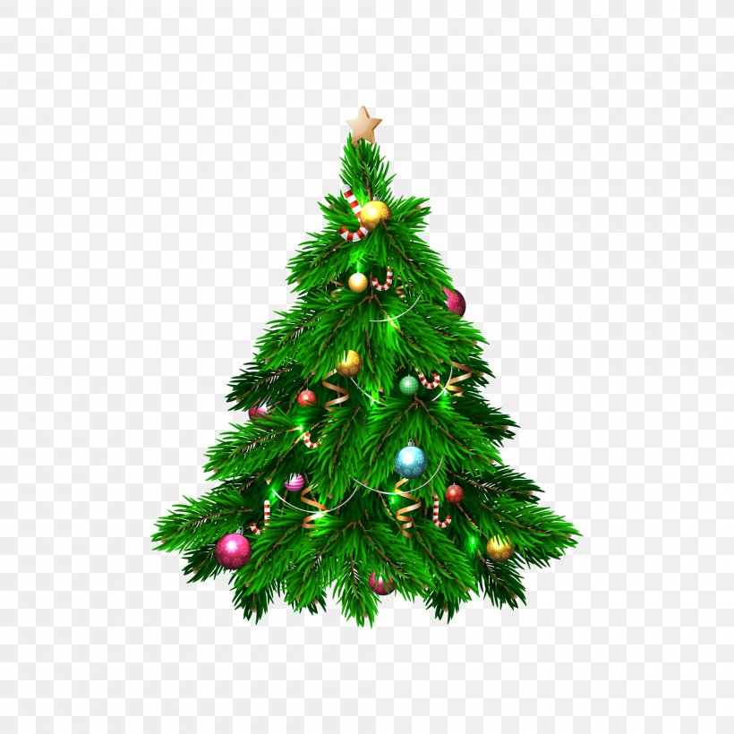 The Decorated Christmas Tree Christmas Day Vector Graphics, PNG, 2000x2000px, Christmas Tree, Christmas, Christmas Day, Christmas Decoration, Christmas Ornament Download Free