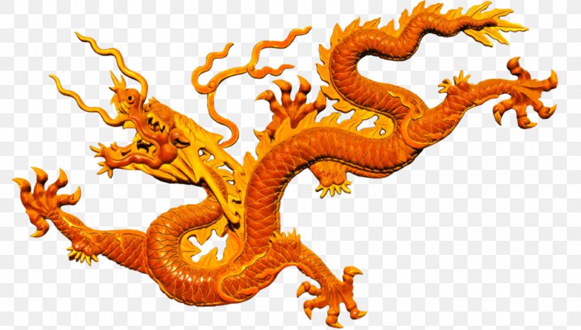 Chinese Dragon History Of China, PNG, 1024x583px, Chinese Dragon, Azure Dragon, China, Chinese, Dragon Download Free