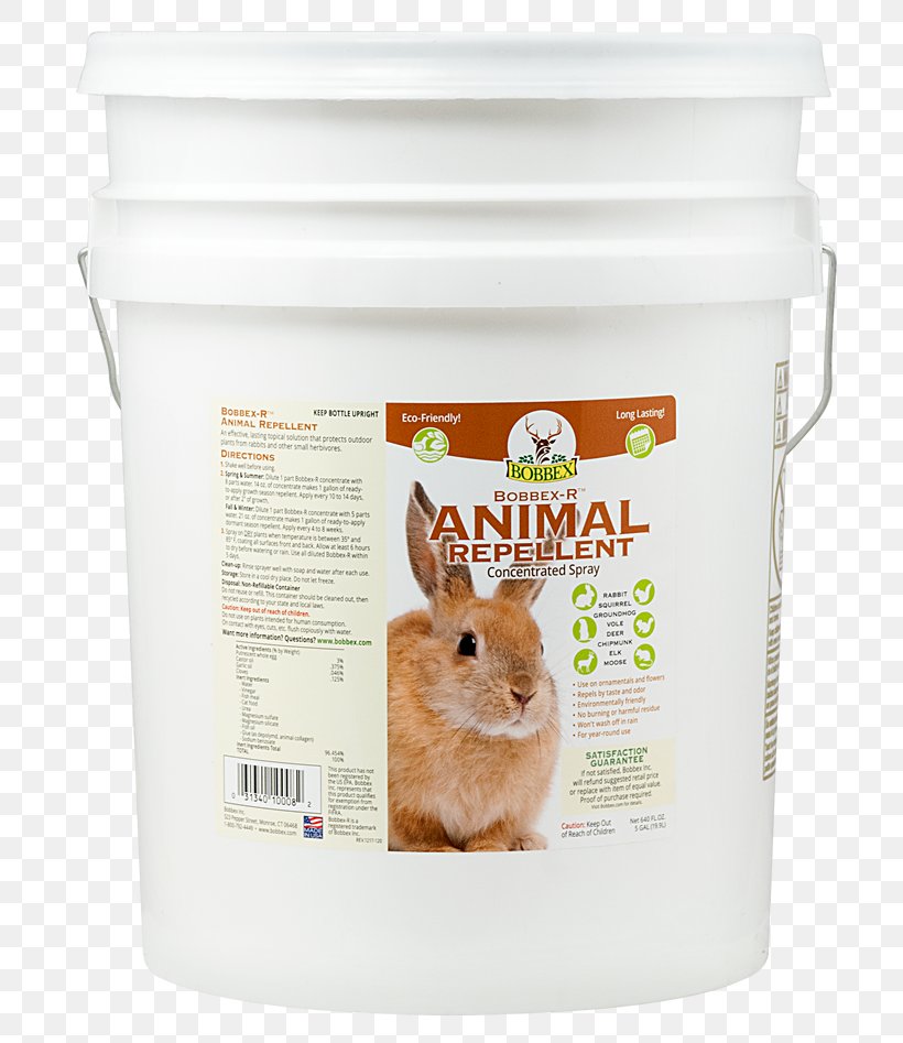 Domestic Rabbit Squirrel Animal Repellent Household Insect Repellents Groundhog, PNG, 720x947px, Domestic Rabbit, Animal, Animal Repellent, Garden, Groundhog Download Free