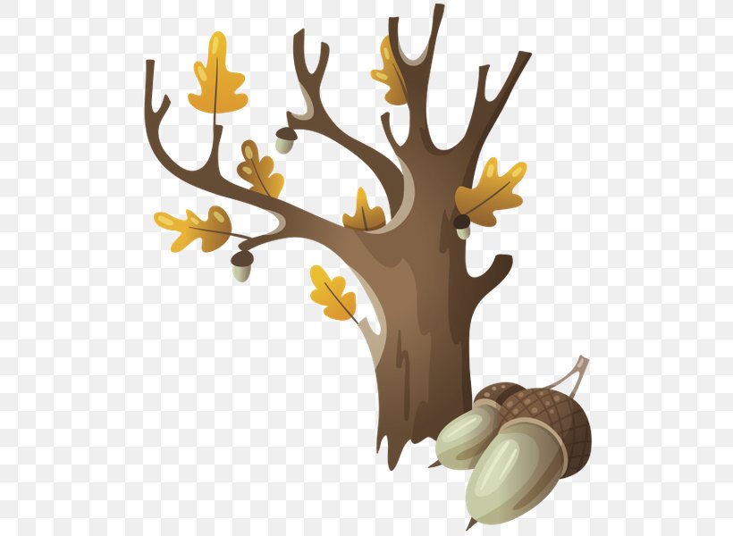 Drawing Autumn Clip Art, PNG, 514x600px, Drawing, Antler, Art, Autumn, Branch Download Free