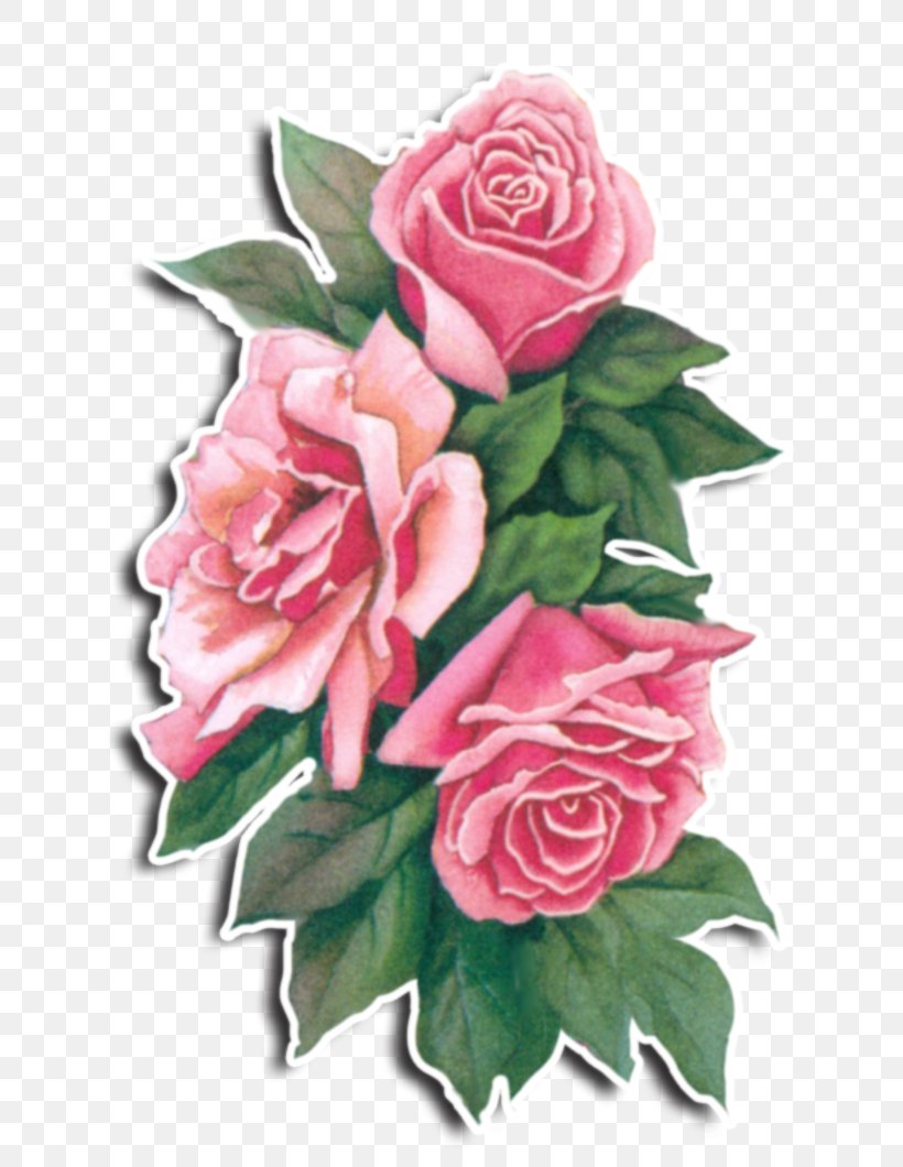 Garden Roses Centifolia Roses Flower Bouquet Floral Design, PNG, 681x1060px, Garden Roses, Artificial Flower, Centifolia Roses, Cut Flowers, Floral Design Download Free