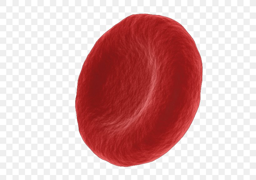 Red Cell Wool, PNG, 576x576px, Red Cell, Cell, Red, Wool Download Free