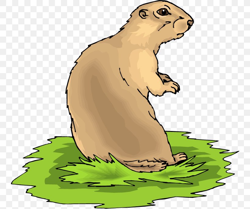 Black-tailed Prairie Dog Black-tailed Prairie Dog Clip Art, PNG, 750x686px, Dog, Animal, Bear, Beaver, Blacktailed Prairie Dog Download Free