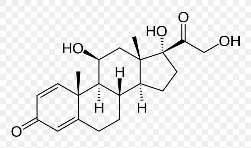 Prednisolone Prednisone Pharmaceutical Drug Choice Veterinary Specialists Triamcinolone, PNG, 1200x708px, Prednisolone, Allergy, Antiinflammatory, Area, Betamethasone Download Free