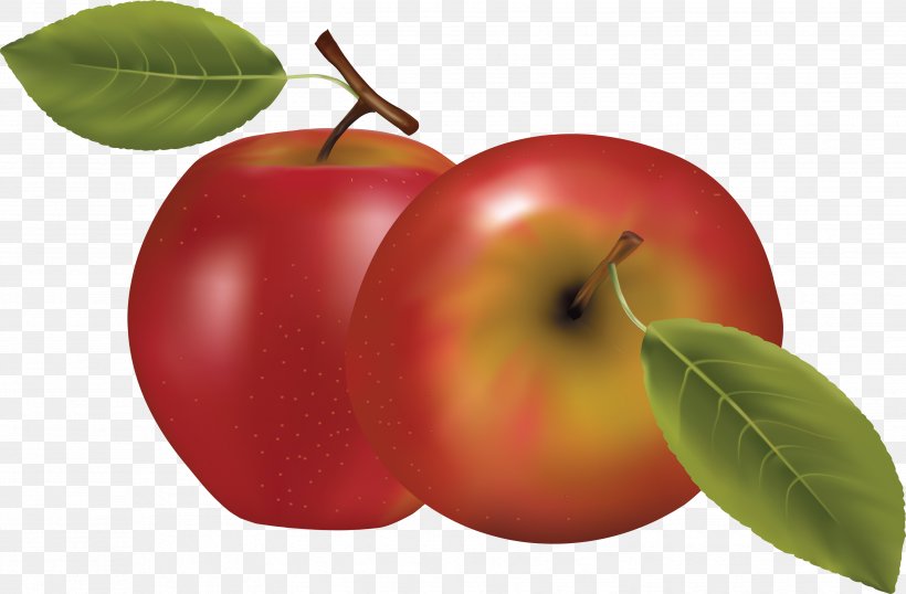 Apple Icon Fruit, PNG, 3509x2304px, Juice, Accessory Fruit, Apple, Citrus, Diet Food Download Free