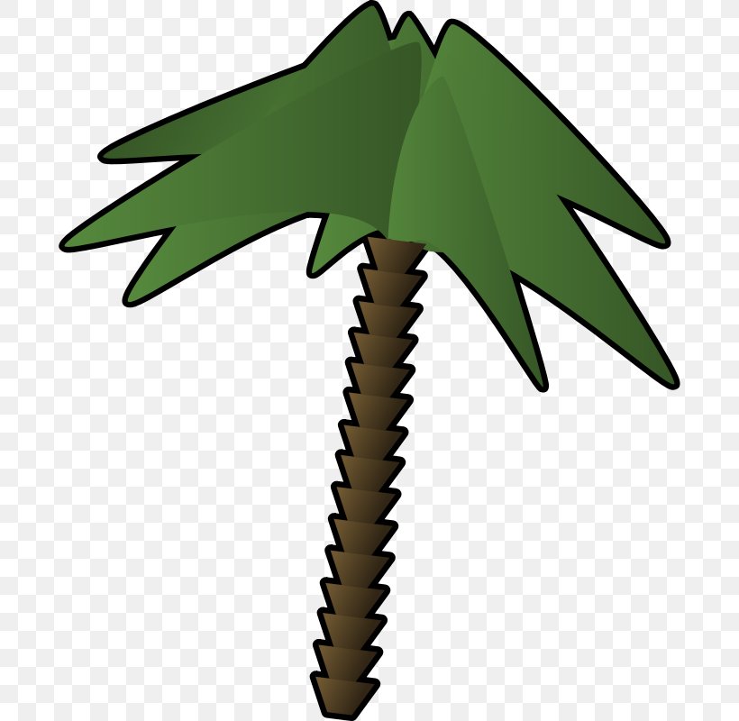 Computer Clip Art, PNG, 800x800px, Computer, Arecaceae, Drawing, Flowering Plant, Grass Download Free