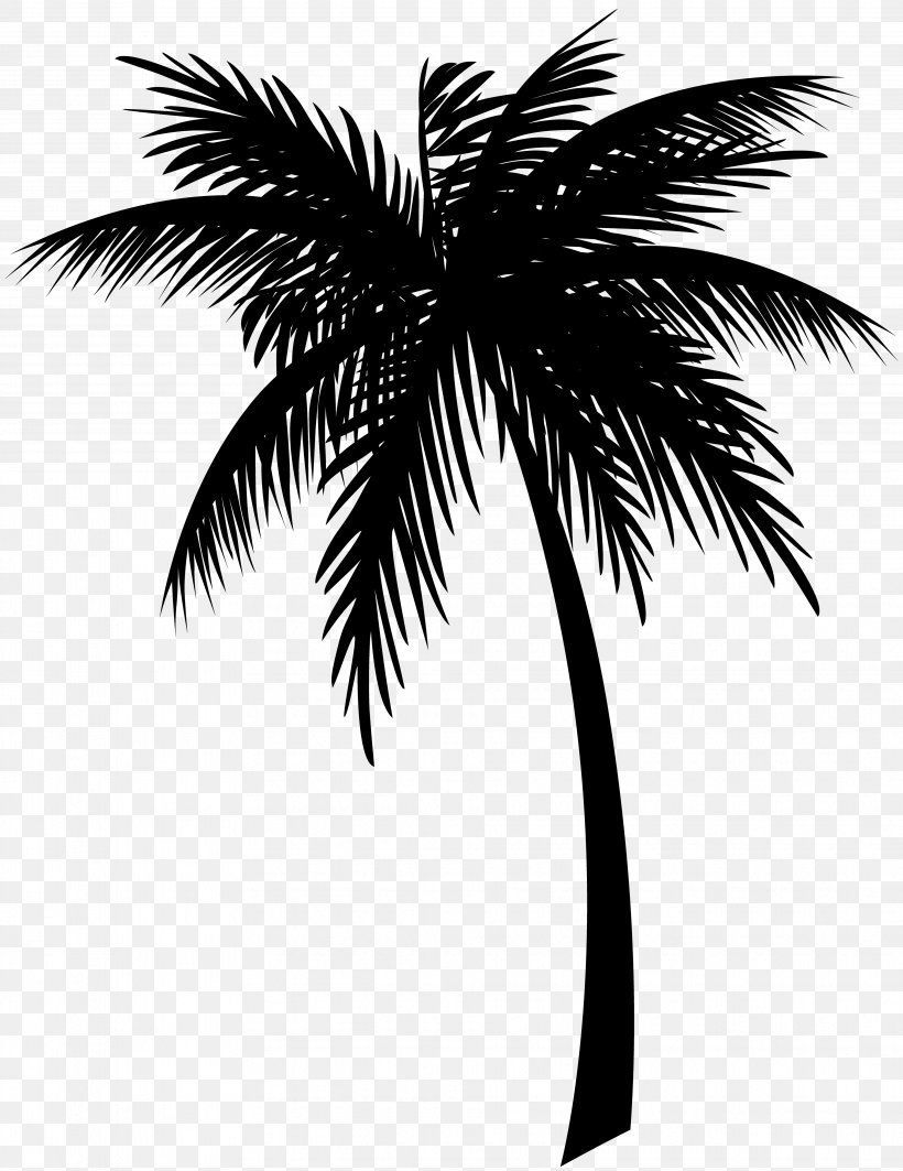 Jamaica Coconut Clip Art Drawing Palm Trees, PNG, 3857x5000px, Jamaica, Ackee, Animation, Arecales, Attalea Speciosa Download Free