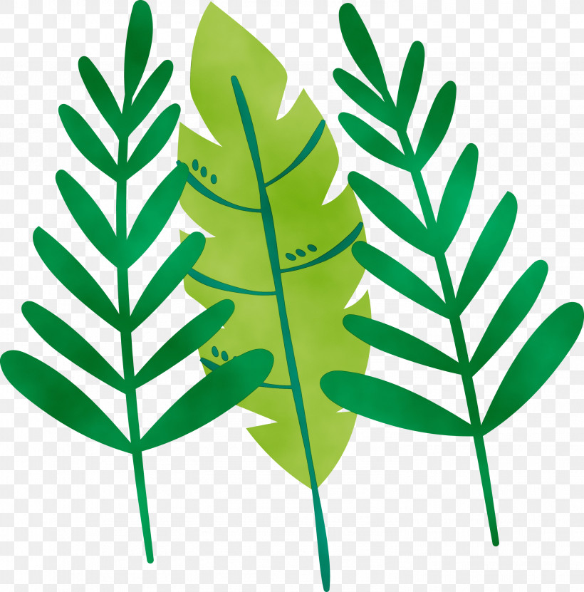 Leaf Plant Stem Vascular Plant Herbal Medicine Font, PNG, 2957x3000px, Watercolor, Biology, Herbal Medicine, Leaf, Paint Download Free