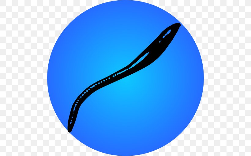 NZB Android Quiz: Logo Game Leech, PNG, 512x512px, Nzb, Android, Aqua, Azure, Blue Download Free