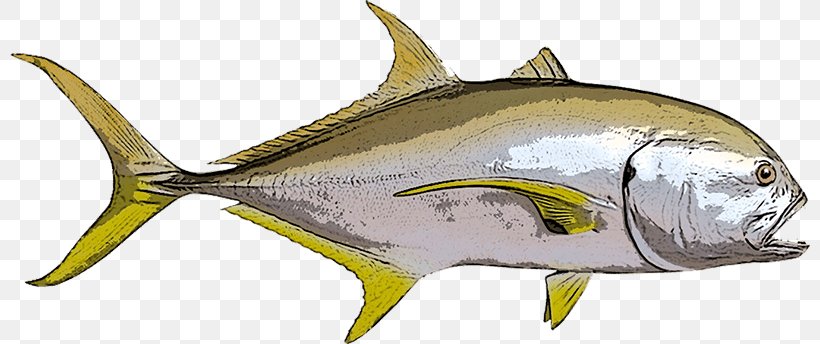 Thunnus Crevalle Jack Giant Trevally Fishing Blue Runner, PNG, 800x344px, Thunnus, Animal, Animal Figure, Black Jack, Blue Runner Download Free