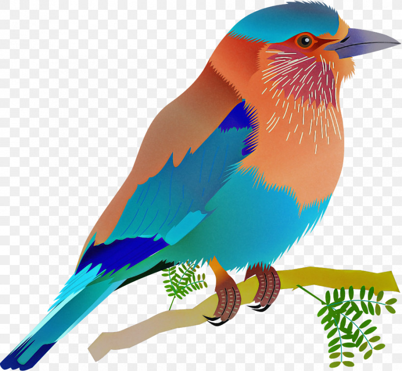 Bird Beak Eastern Bluebird Bluebird Roller, PNG, 932x860px, Bird, Beak, Bluebird, Coraciiformes, Eastern Bluebird Download Free