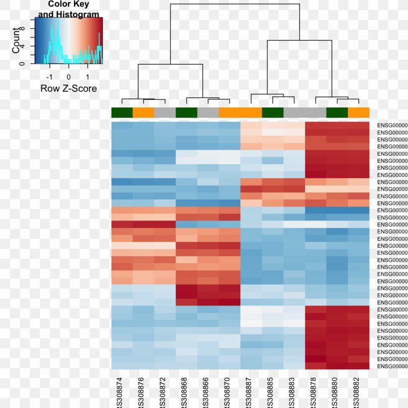 RNA-Seq Gene Expression Heat Map Principal Component Analysis, PNG, 1344x1344px, Rnaseq, Bioconductor, Brand, Data Analysis, Diagram Download Free