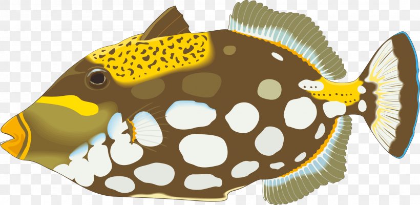Angelfish Triggerfish Royalty-free Illustration, PNG, 2205x1076px, Angelfish, Art, Clown Triggerfish, Decal, Fauna Download Free
