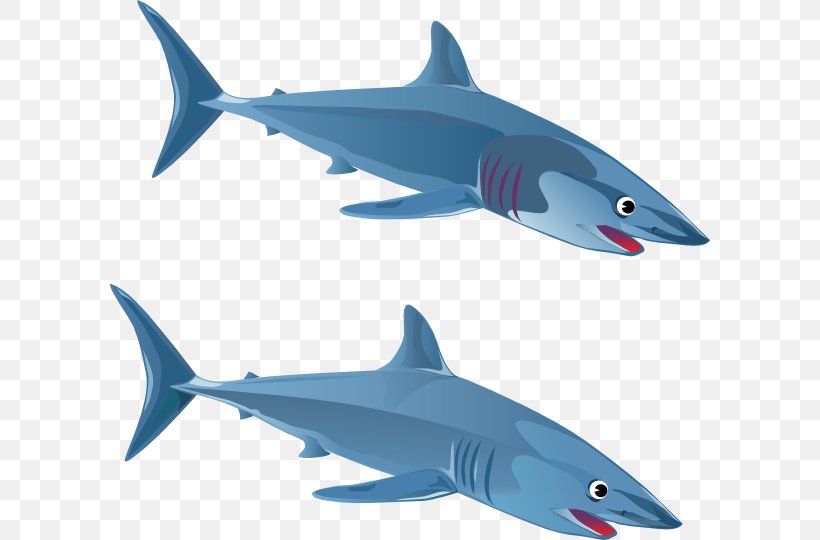 Blue Shark Great White Shark Clip Art, PNG, 600x540px, Shark, Blue Shark, Bull Shark, Cartilaginous Fish, Drawing Download Free
