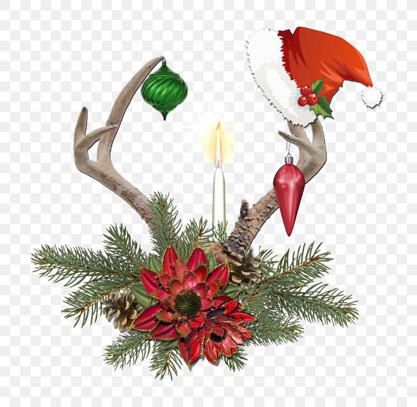 Christmas Decoration Candle Christmas Ornament Flower, PNG, 762x800px, Christmas, Blog, Candle, Christmas Decoration, Christmas Ornament Download Free
