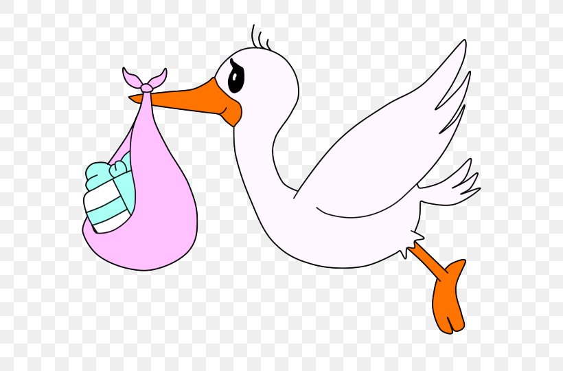 Duck Swans Clip Art Goose Beak, PNG, 720x540px, Duck, Art, Beak, Bird, Cartoon Download Free