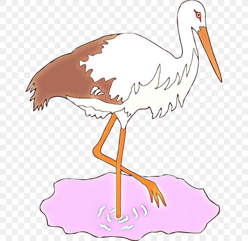 Bird Beak Stork White Stork Ciconiiformes, PNG, 651x800px, Bird, Beak, Ciconiiformes, Crane, Cranelike Bird Download Free