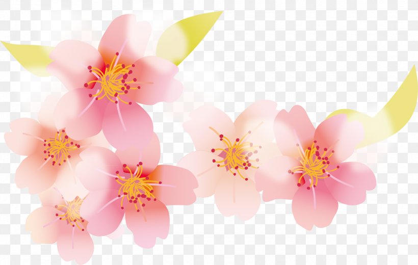 Cherry Blossom Petal, PNG, 1625x1032px, Blossom, Artworks, Branch, Cerasus, Cherry Blossom Download Free