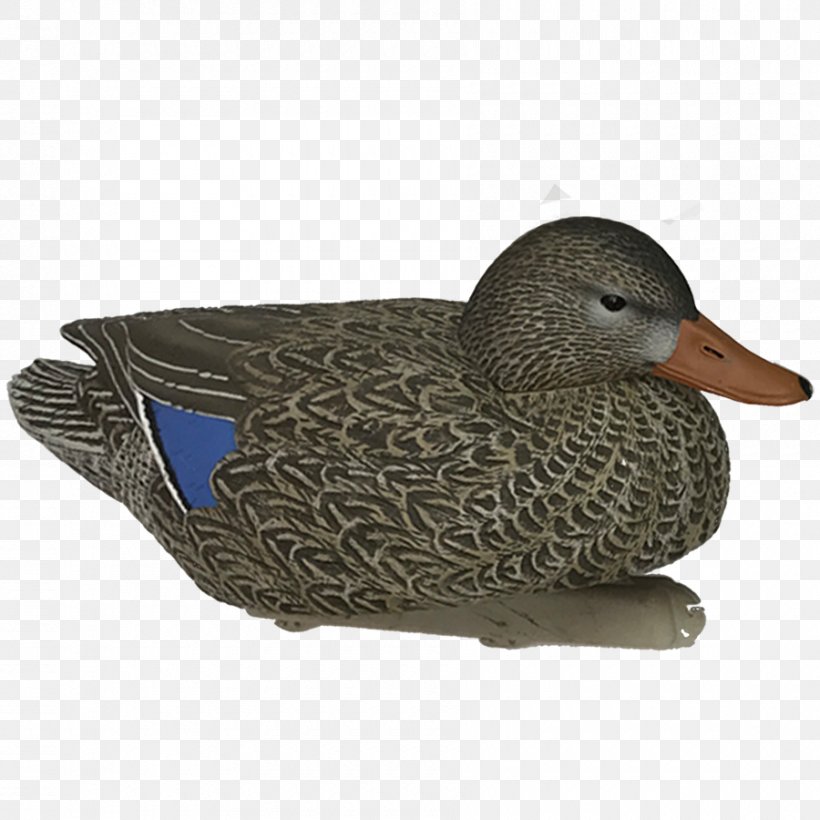 Mallard Duck Bird Decoy Goose, PNG, 900x900px, Mallard, Anatidae, Animal, Beak, Bird Download Free