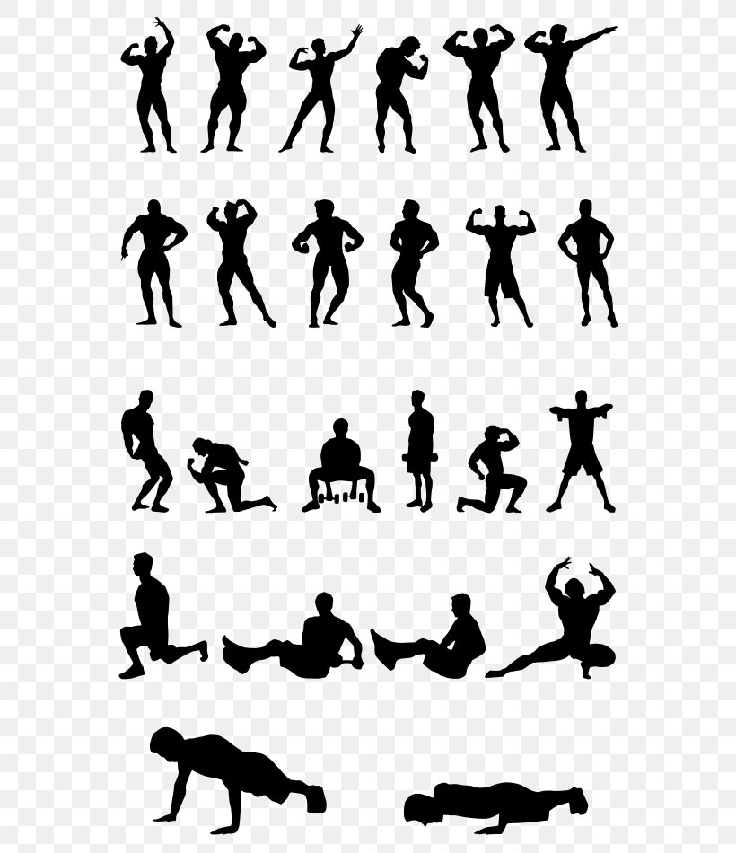 Physical Fitness Bodybuilding Computer File, PNG, 594x950px, Physical Fitness, Arm, Black And White, Bodybuilding, Clip Art Download Free