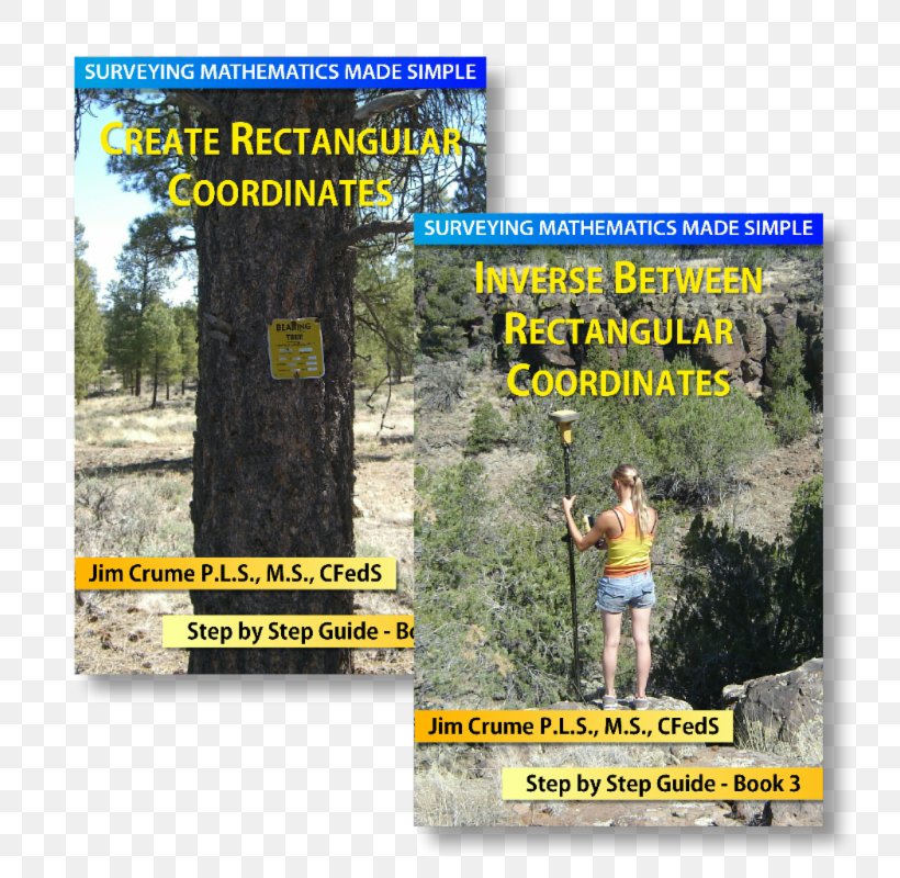 Public Land Survey System Quarter Section Bearing Angle, PNG, 800x800px, Public Land Survey System, Advertising, Azimuth, Bearing, County Download Free