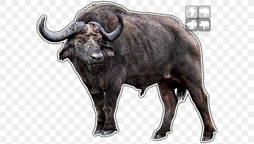 African Buffalo Illustration Clip Art Image, PNG, 590x465px, African Buffalo, Animal Figure, Art, Bison, Bovine Download Free