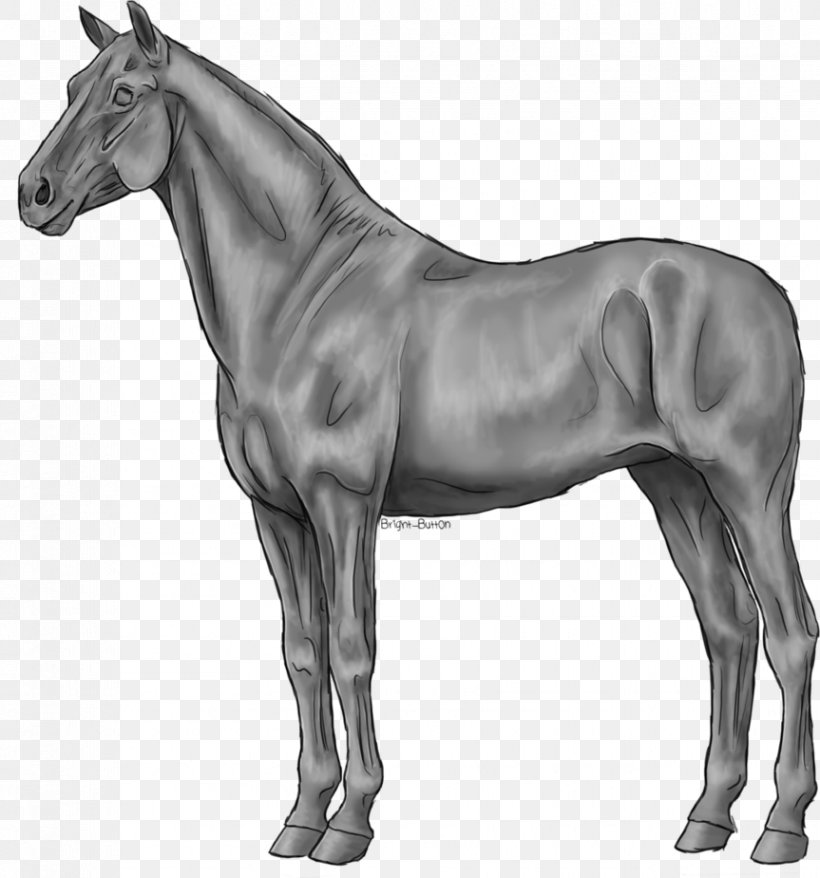 American Quarter Horse Stallion Standing Horse Dülmen Pony Grayscale, PNG, 863x925px, American Quarter Horse, Animaatio, Animal Figure, Bay, Black And White Download Free
