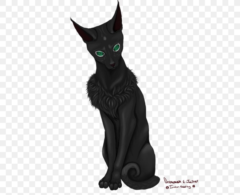 Bombay Cat Black Cat Korat Domestic Short-haired Cat Whiskers, PNG, 800x667px, Bombay Cat, Black Cat, Bombay, Carnivoran, Cat Download Free
