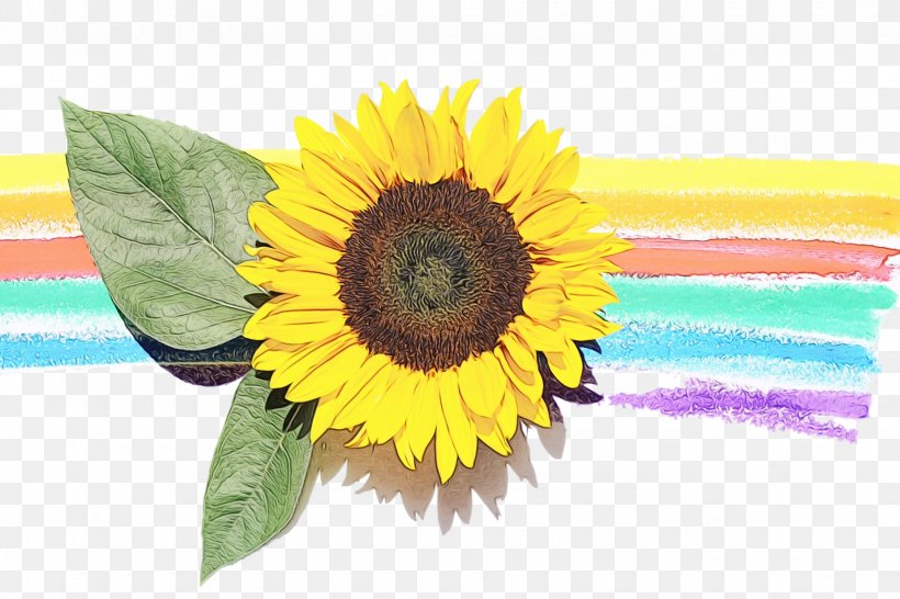 Towel Room Painting Common Sunflower Tapestry, PNG, 2250x1500px, Towel, Annual Plant, Asterales, Beach, Beach Towel Download Free